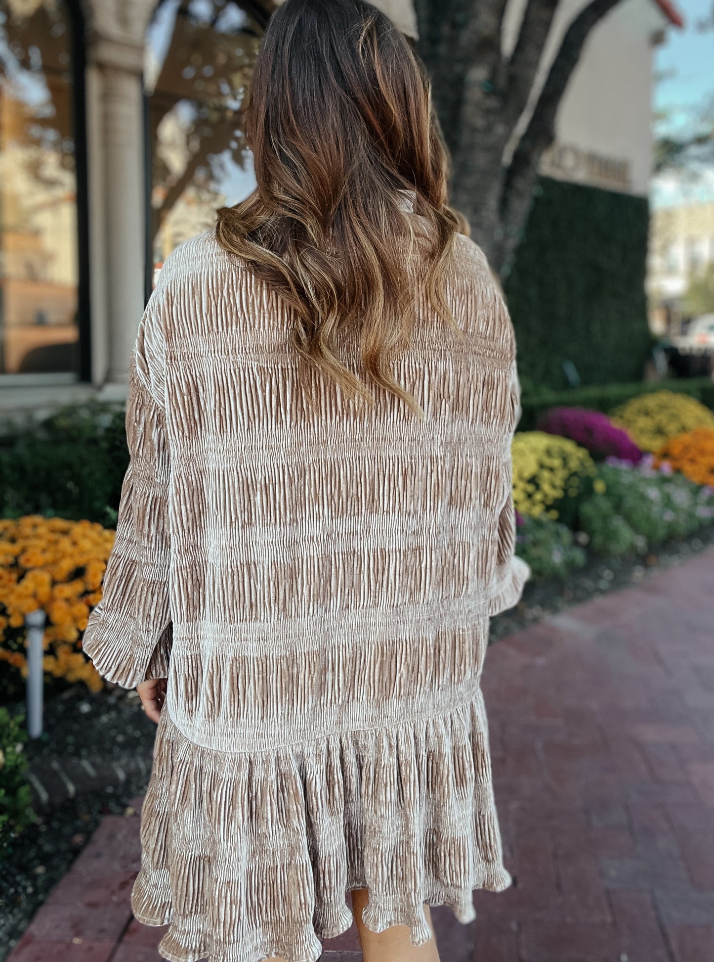 Tawny Taupe Velour Button-Down Dress