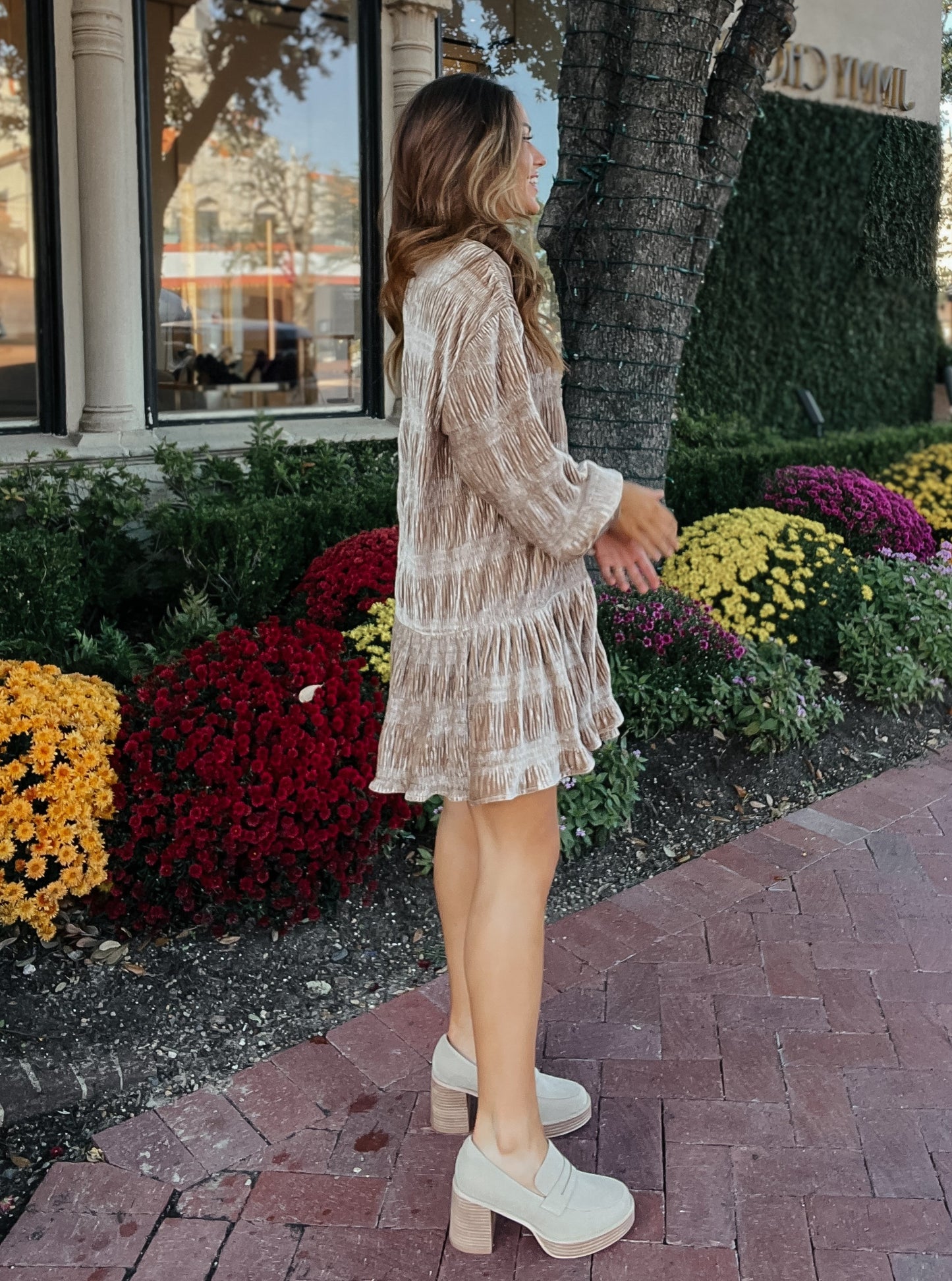 Tawny Taupe Velour Button-Down Dress