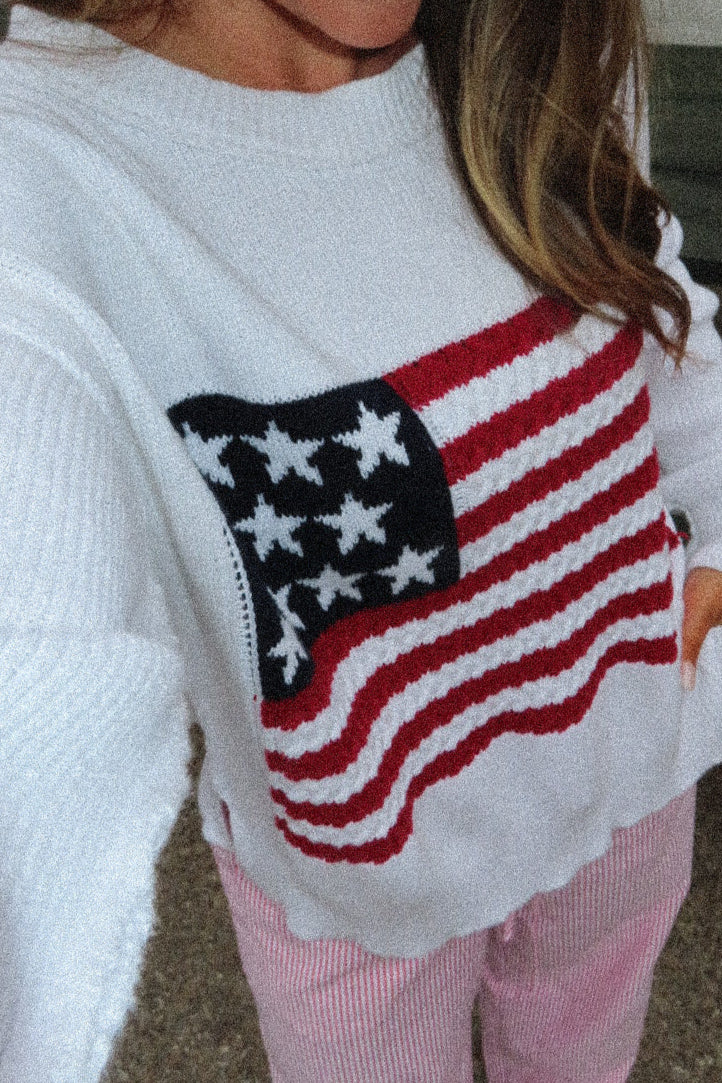 Party In The USA Sweater