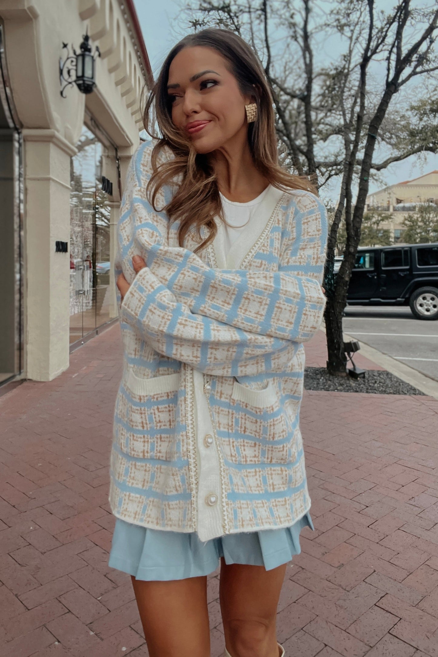 Nala Light Blue Plaid Sweater Cardigan