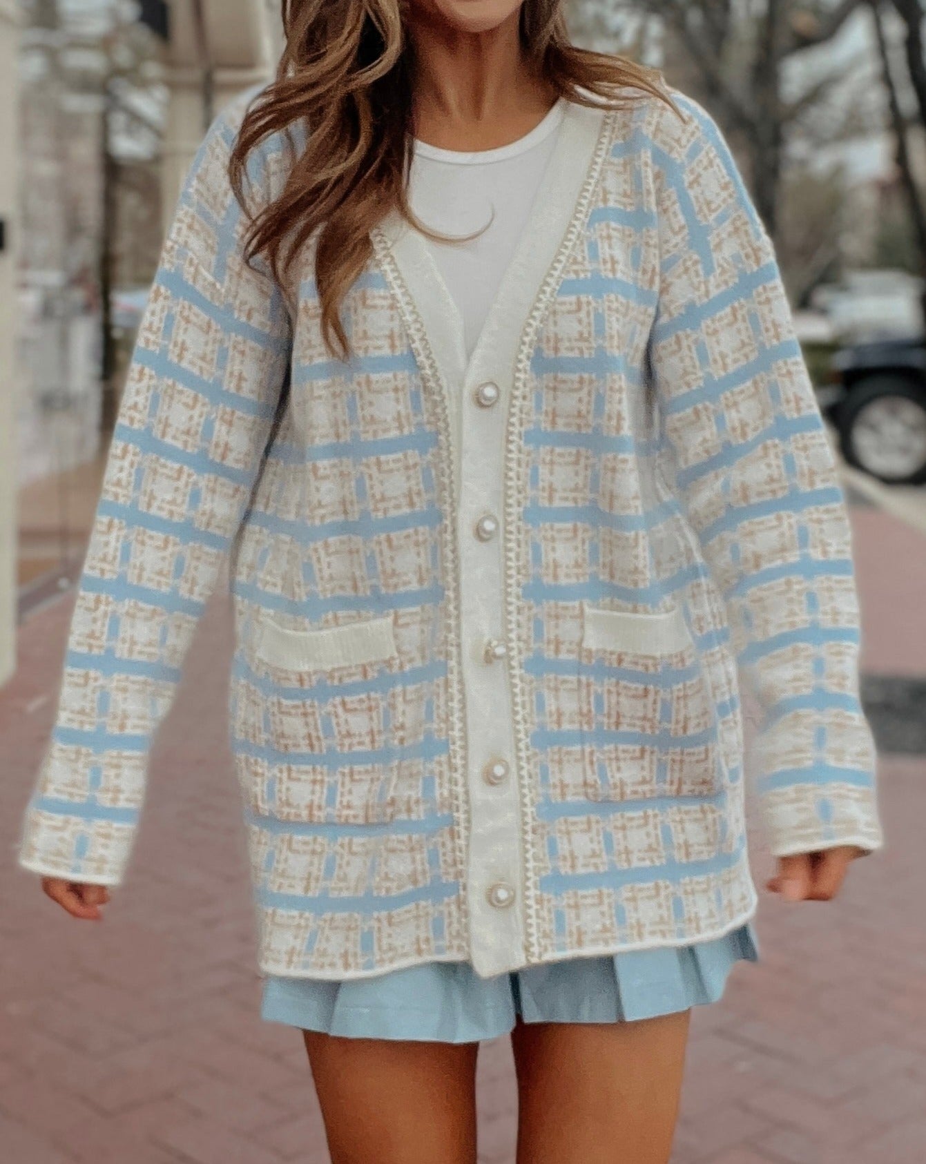 Nala Light Blue Plaid Sweater Cardigan