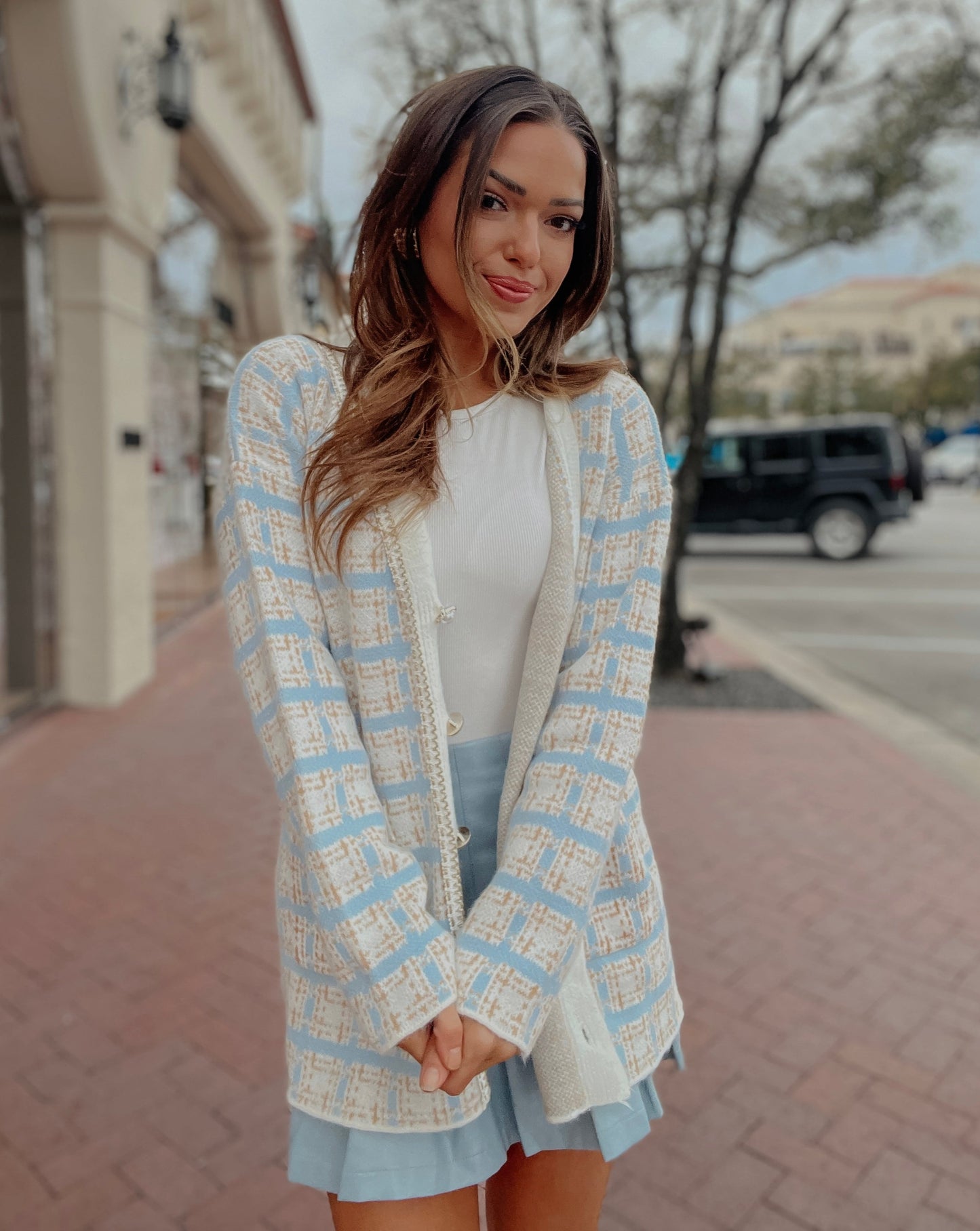 Nala Light Blue Plaid Sweater Cardigan