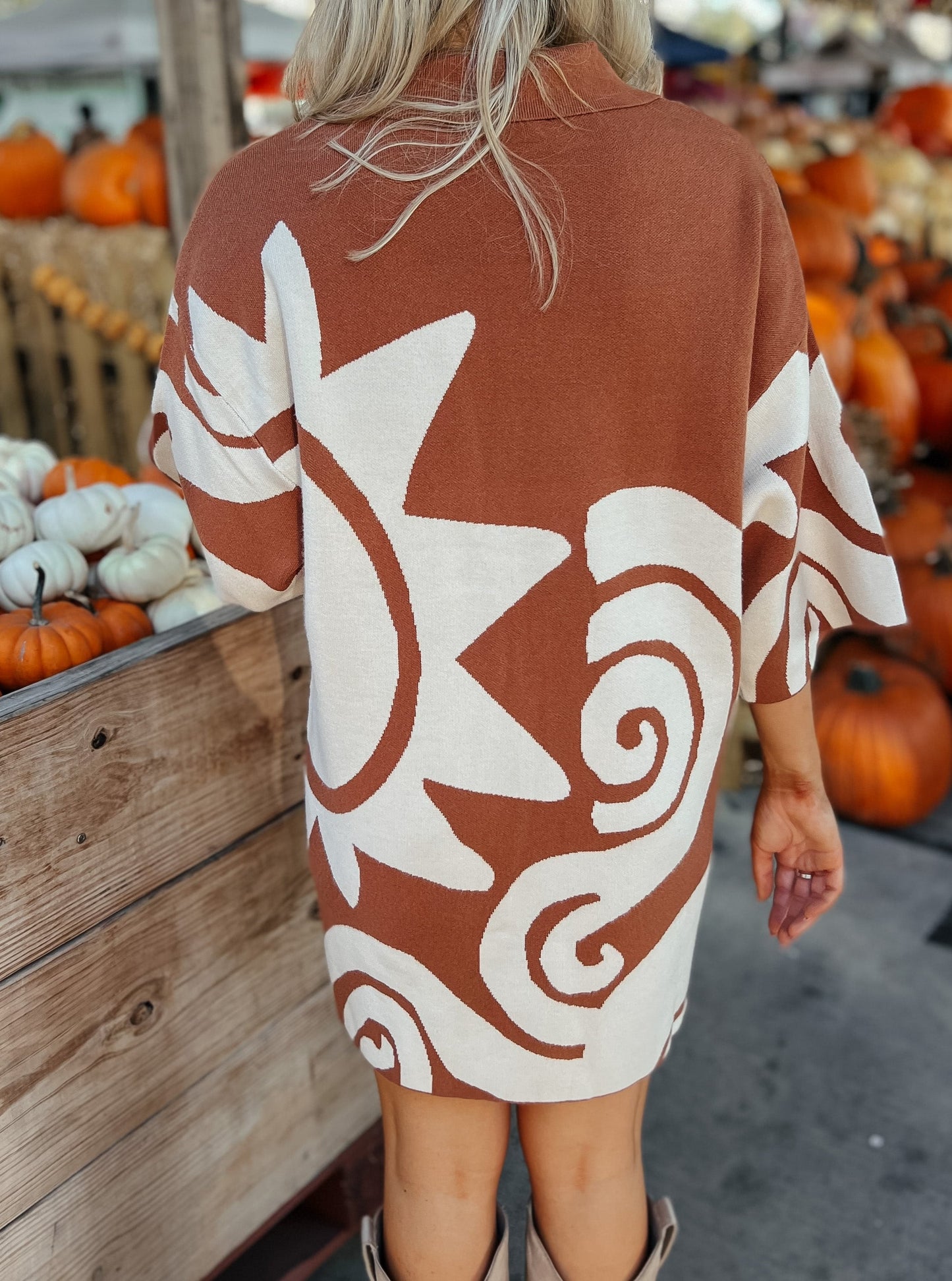 Camila Rust Sweater Button-Down Collar Dress