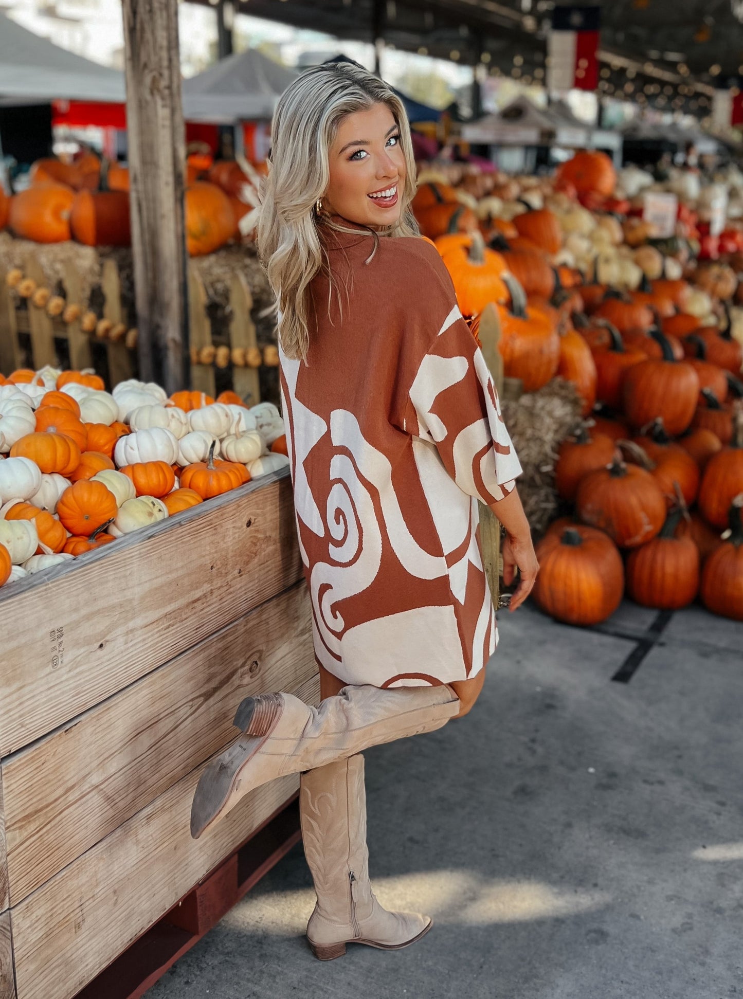 Camila Rust Sweater Button-Down Collar Dress