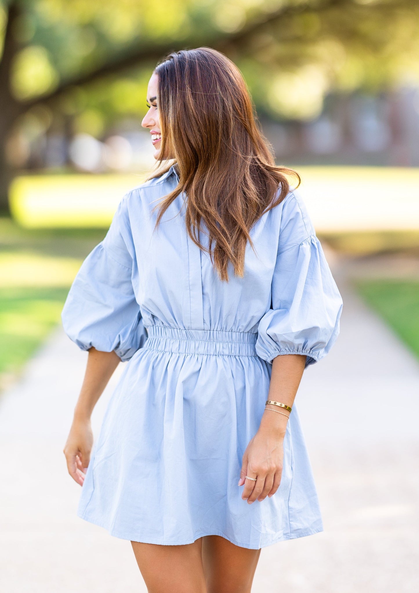 Williams Muted Blue Poplin Dress