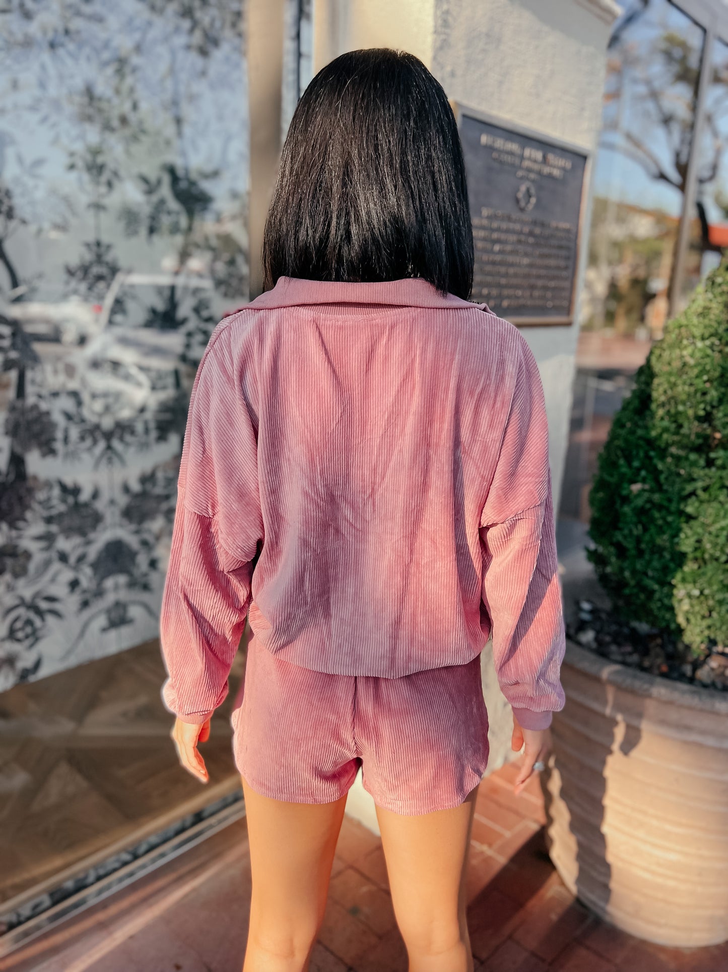 Tara Velour Track Pullover