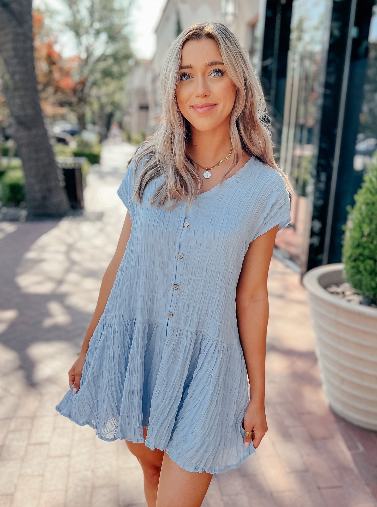 Tampa Blue Button-Down Dress