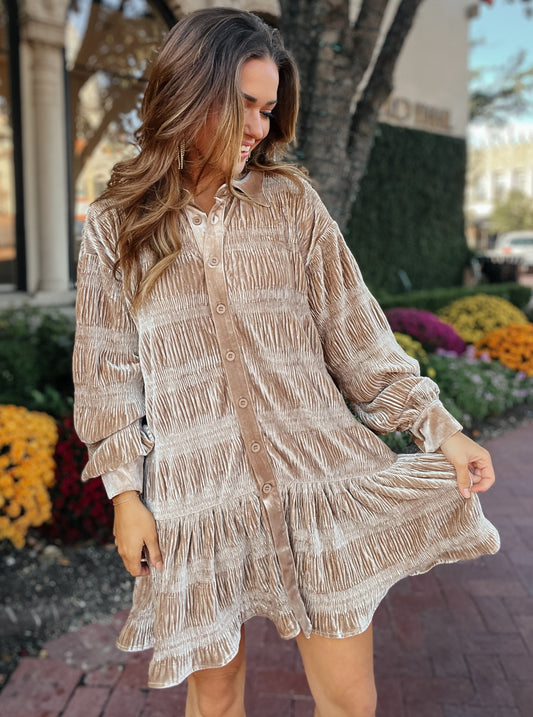 Tawny Taupe Velour Button-Down Dress