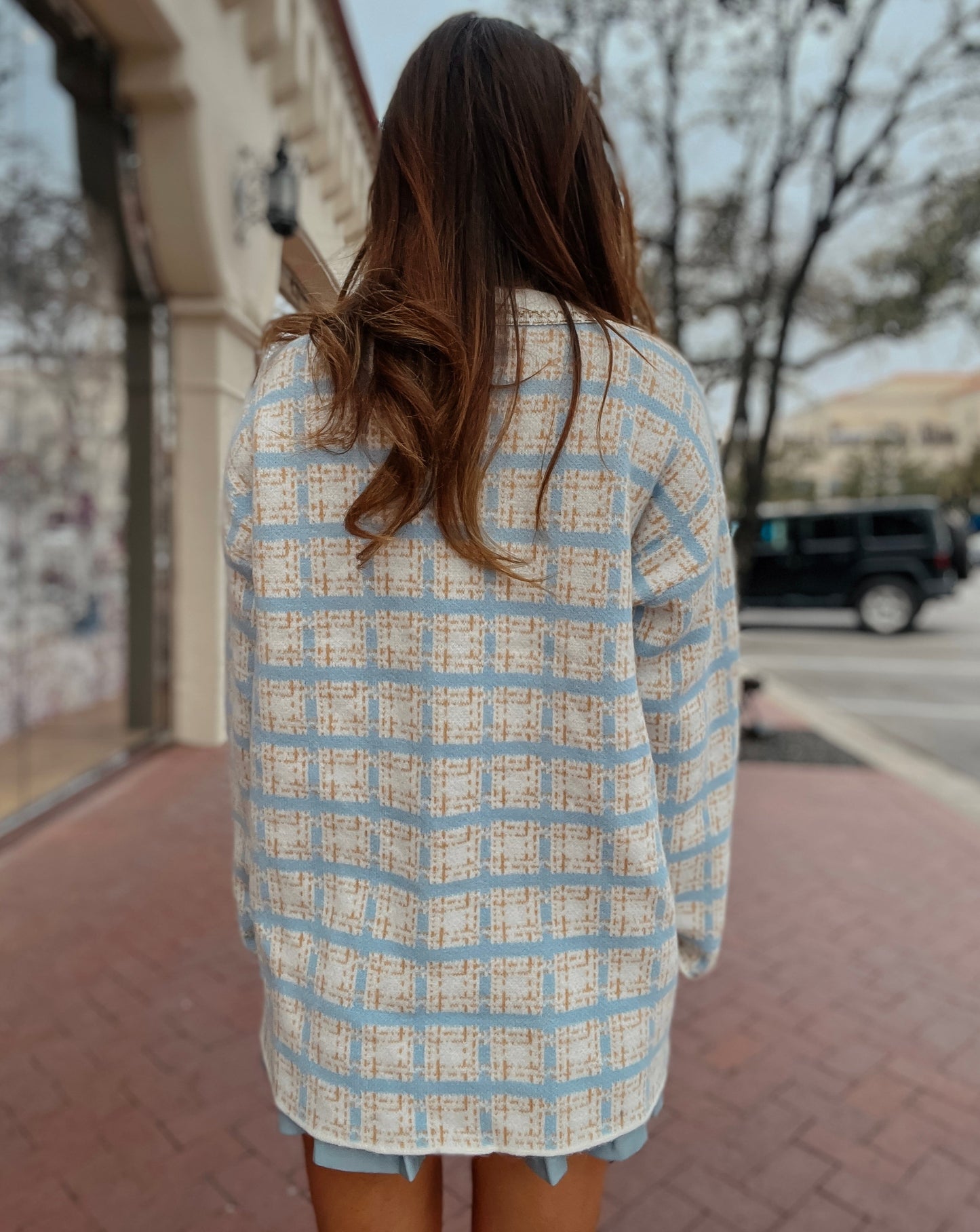 Nala Light Blue Plaid Sweater Cardigan