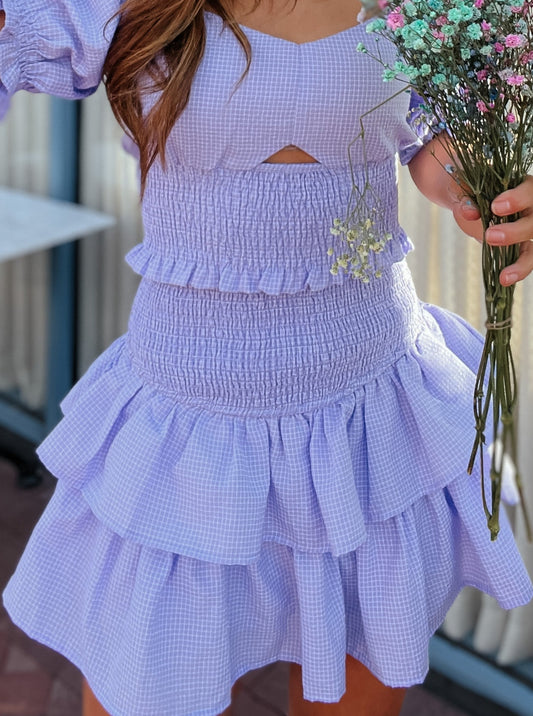 Bri Purple Smocked Skirt