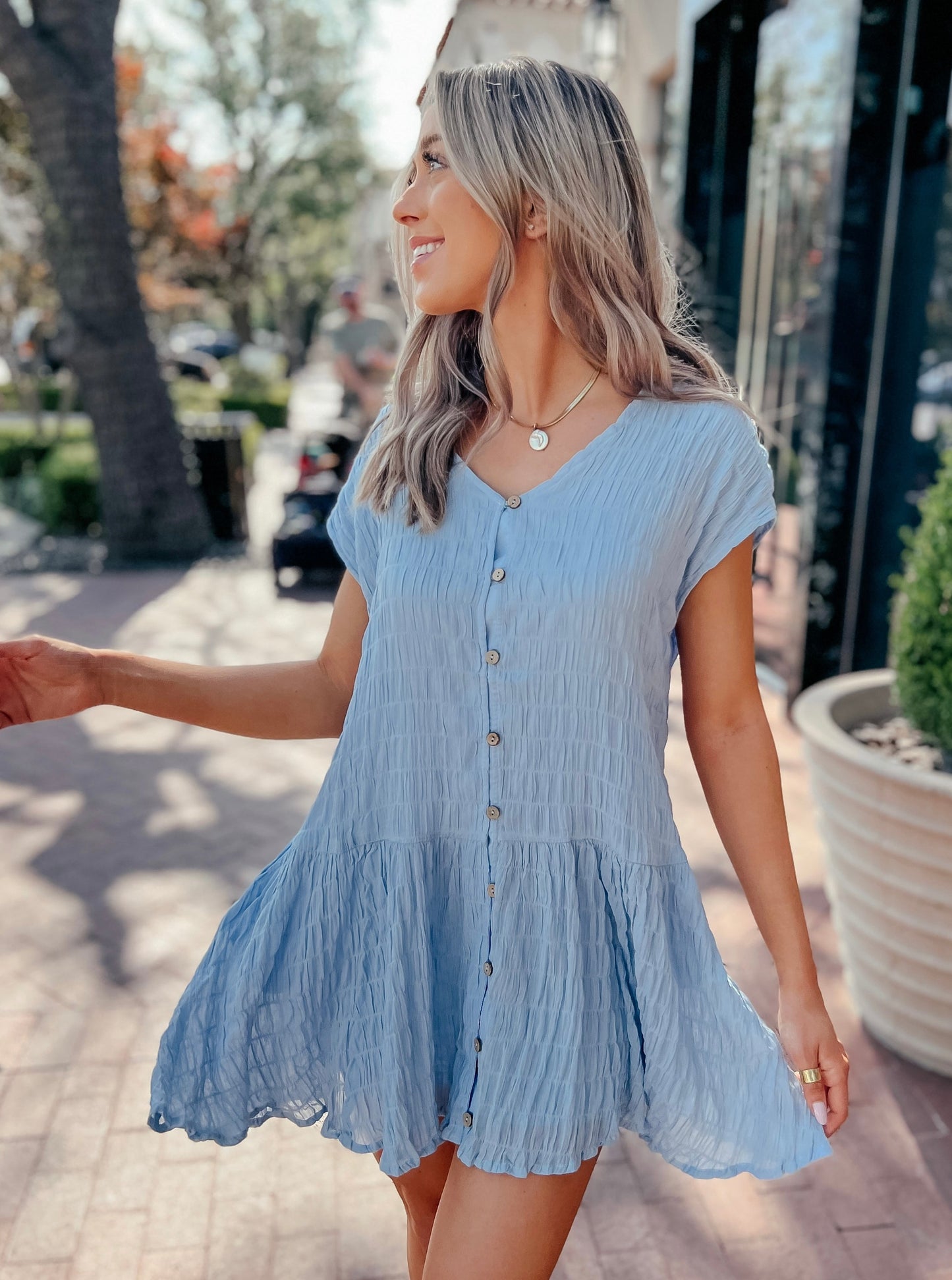 Tampa Blue Button-Down Dress